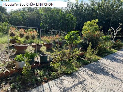 Danh Sách 9 Chùa, địa chỉ tâm linh tại Huyện Chơn Thành Tỉnh Bình Phước