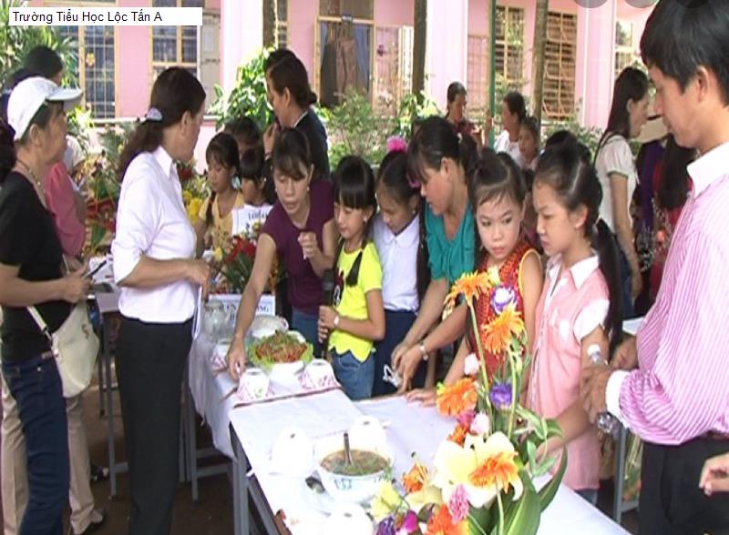 Trường Tiểu Học Lộc Tấn A