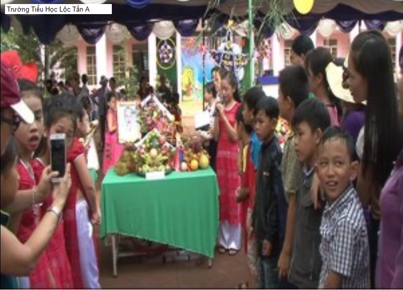 Trường Tiểu Học Lộc Tấn A