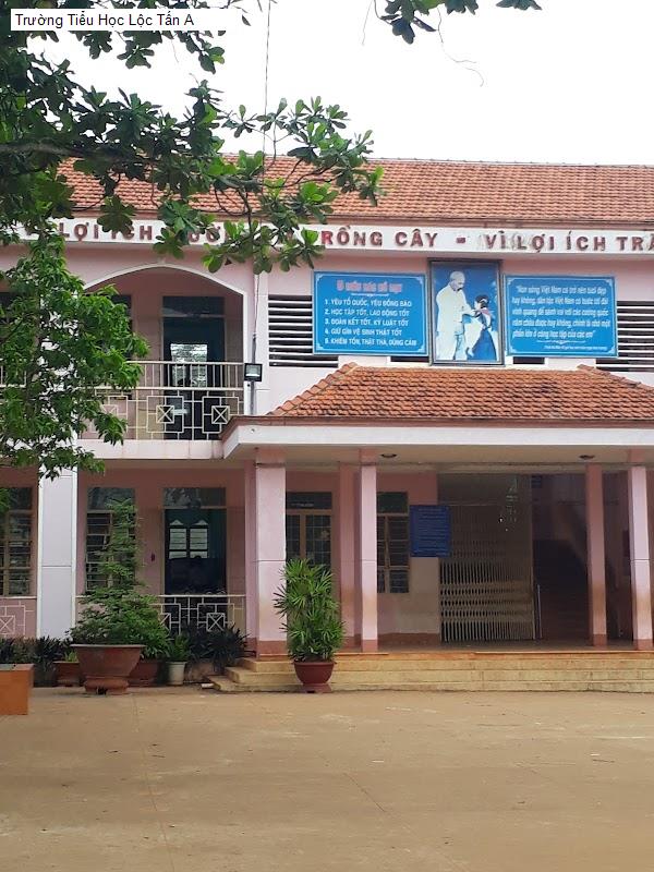 Trường Tiểu Học Lộc Tấn A