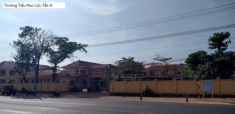 Trường Tiểu Học Lộc Tấn A