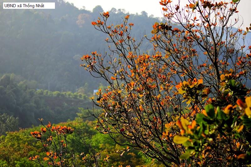 UBND xã Thống Nhất